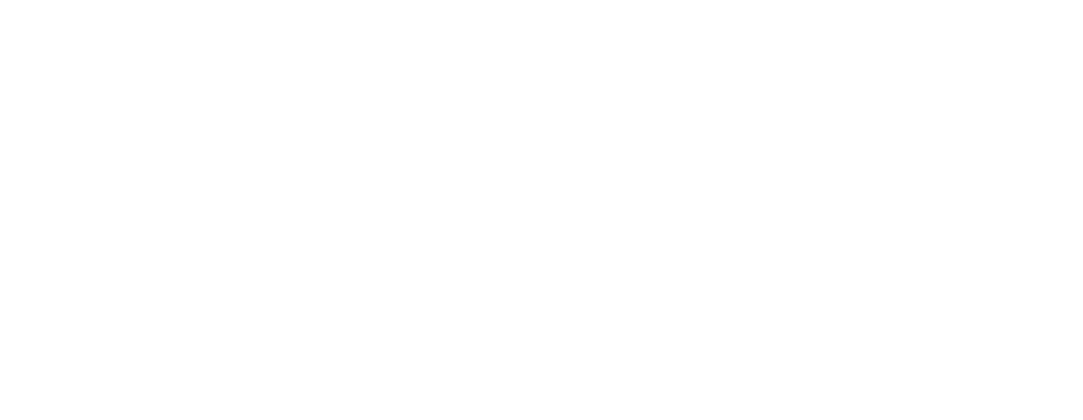 DropCargo Express Logo